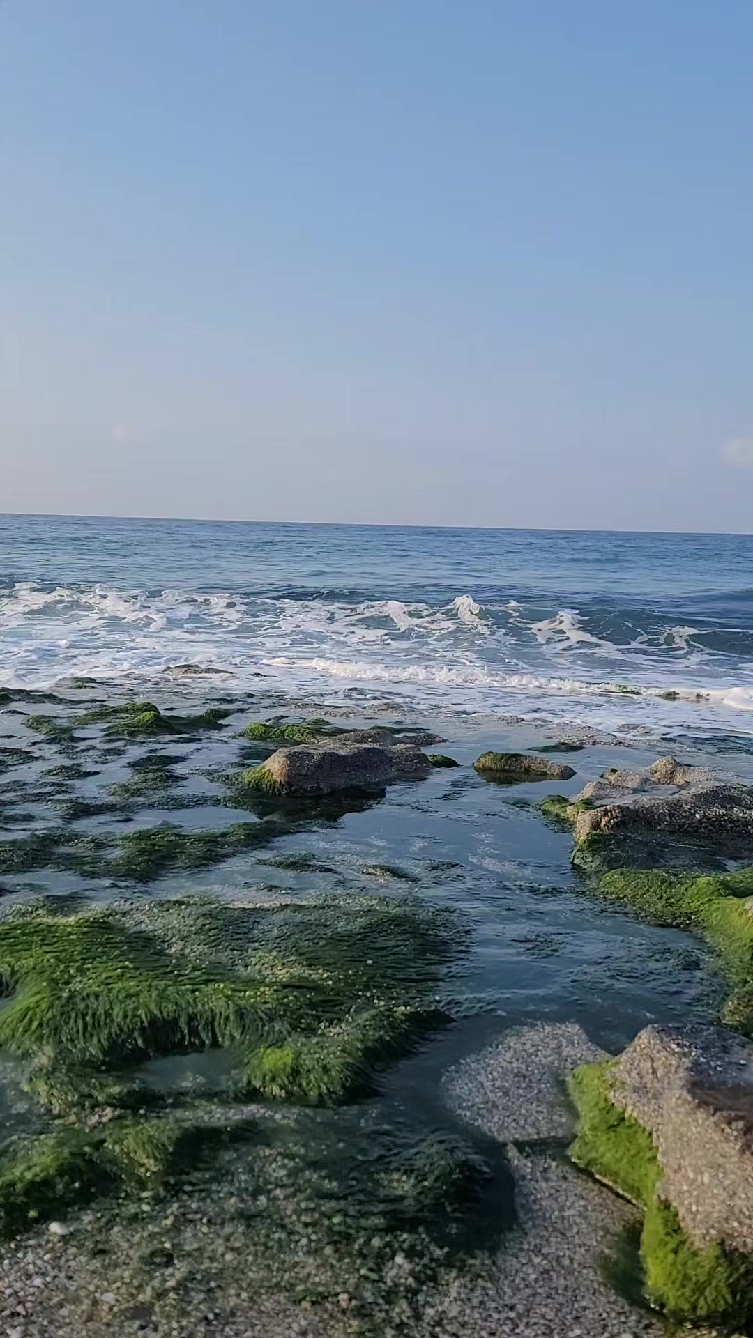 @محمود بدر