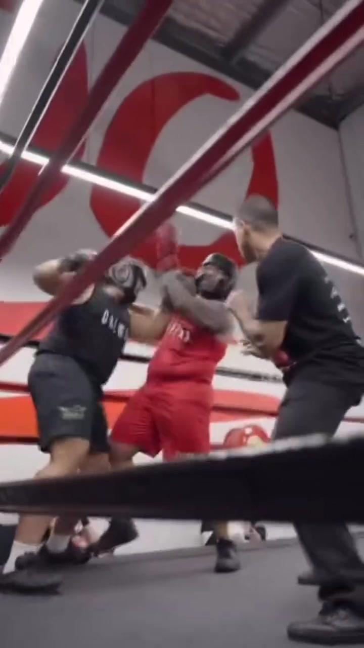 @Panthera Fist Boxing
