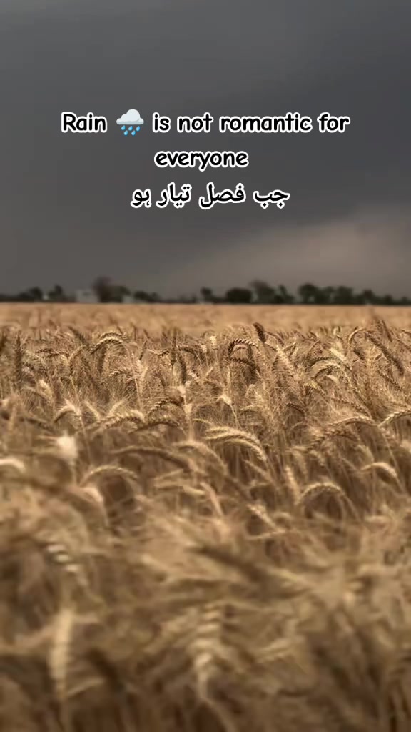 @Ahmad 392