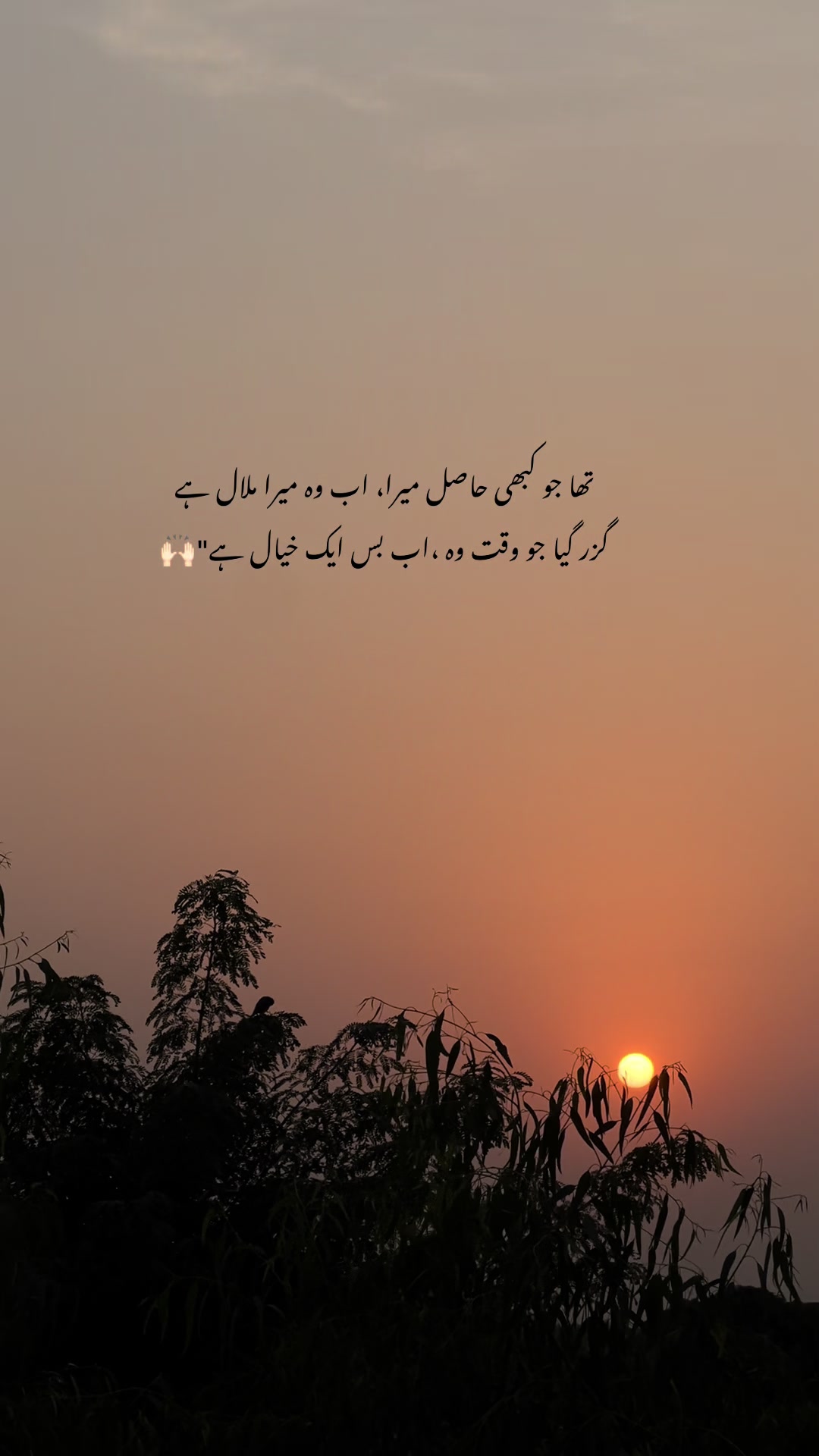 @🌸~