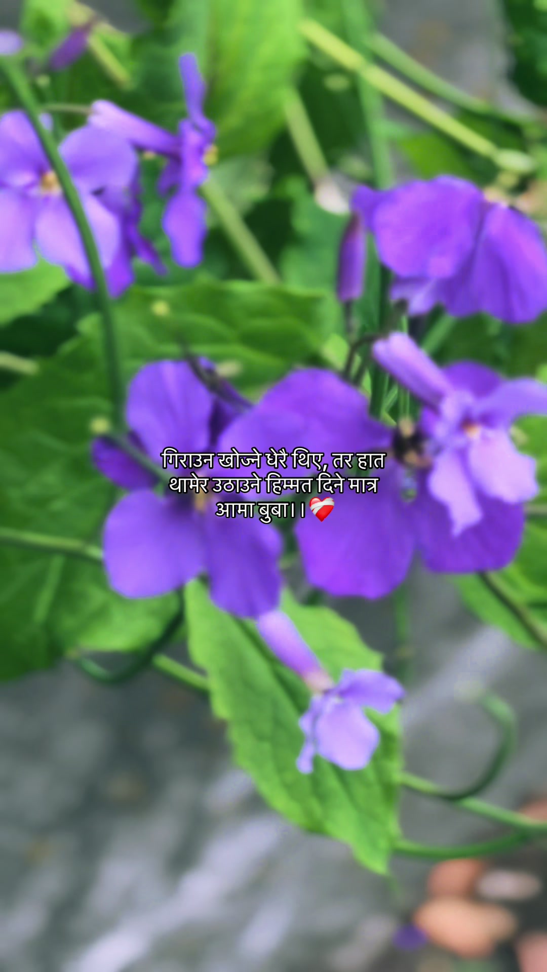 @Indira🫶🌸