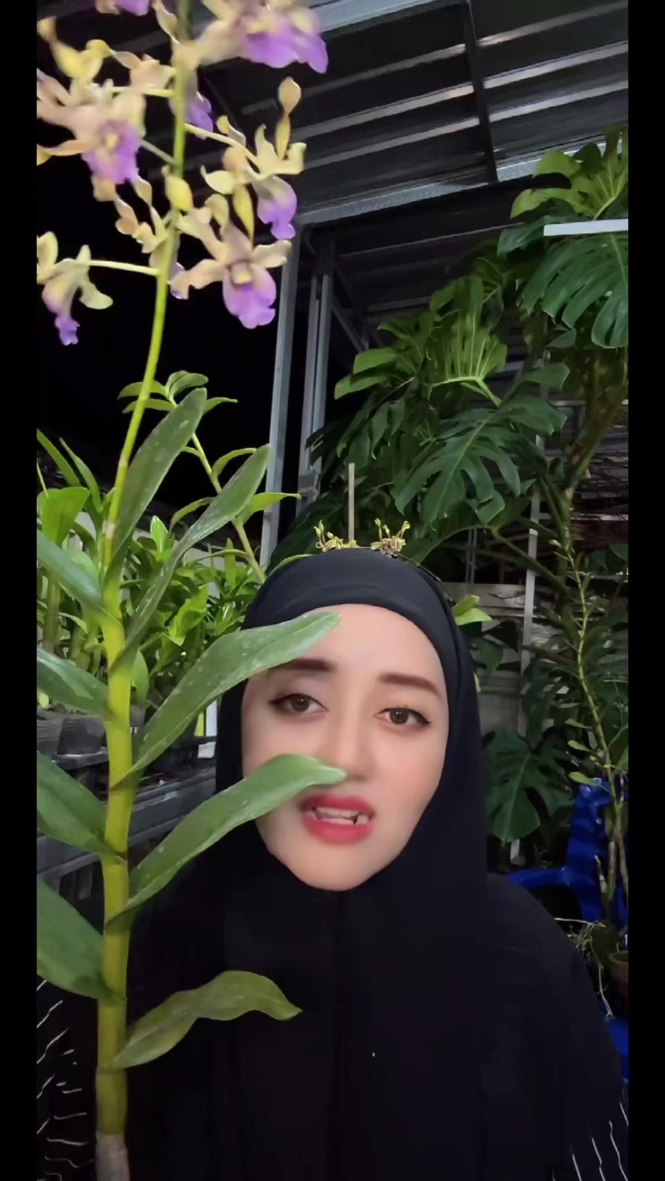 @Anggina Orchid