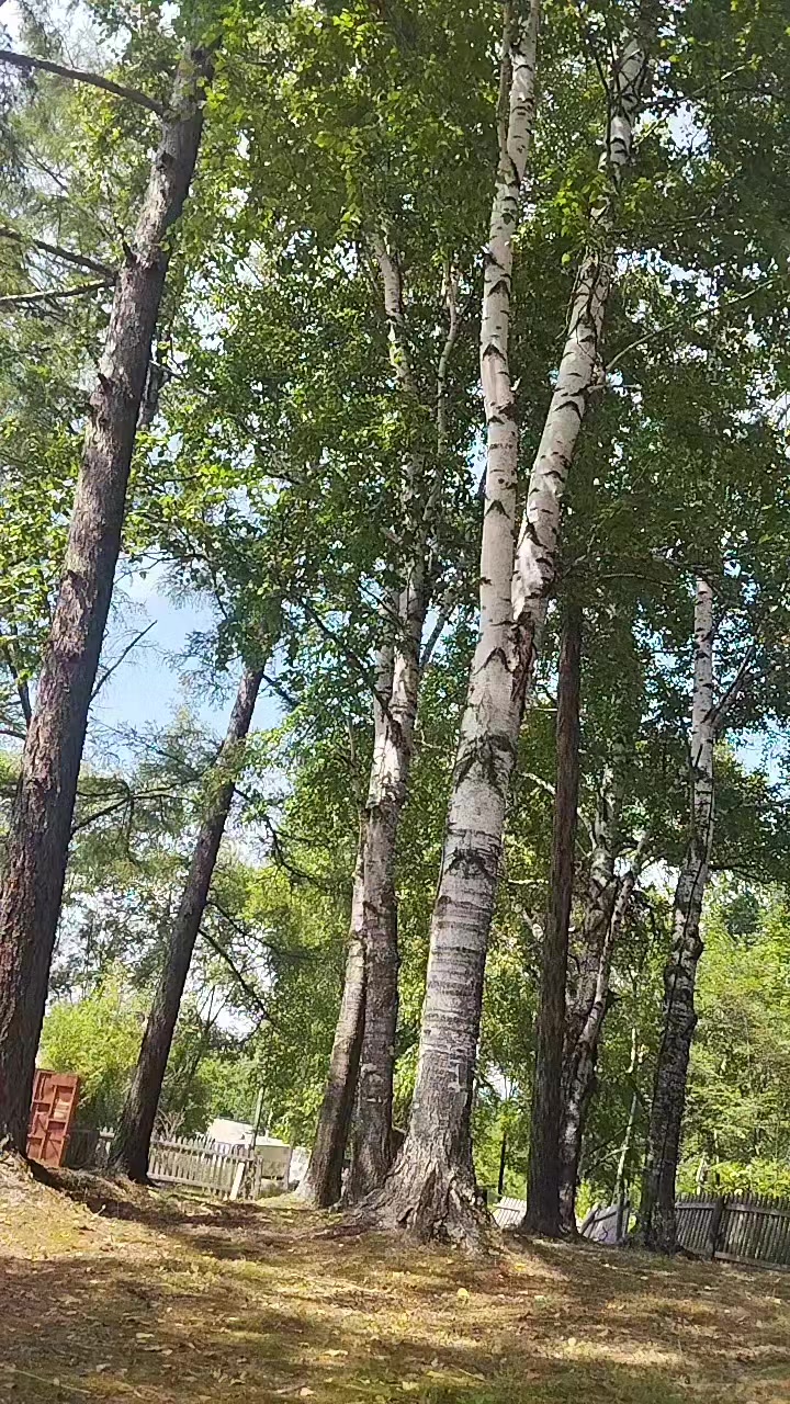@ирунчик