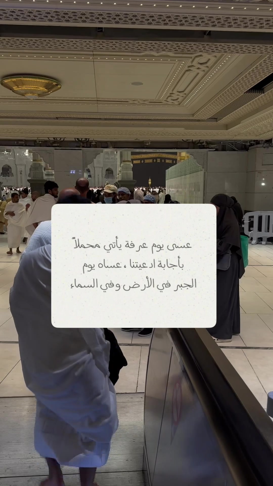 @اثير القحطاني🌱