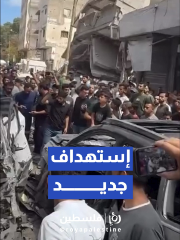 @Royapalestine رؤيا فلسطين