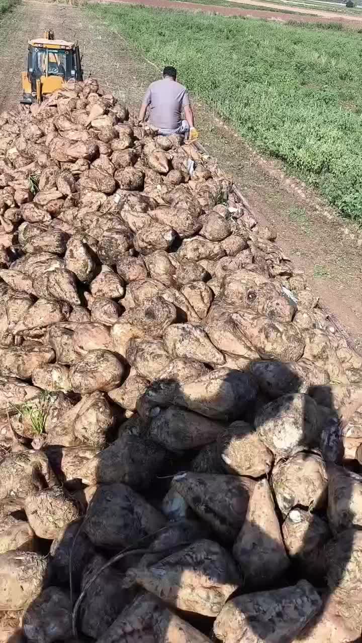 @Ömer Faruk Çetiner