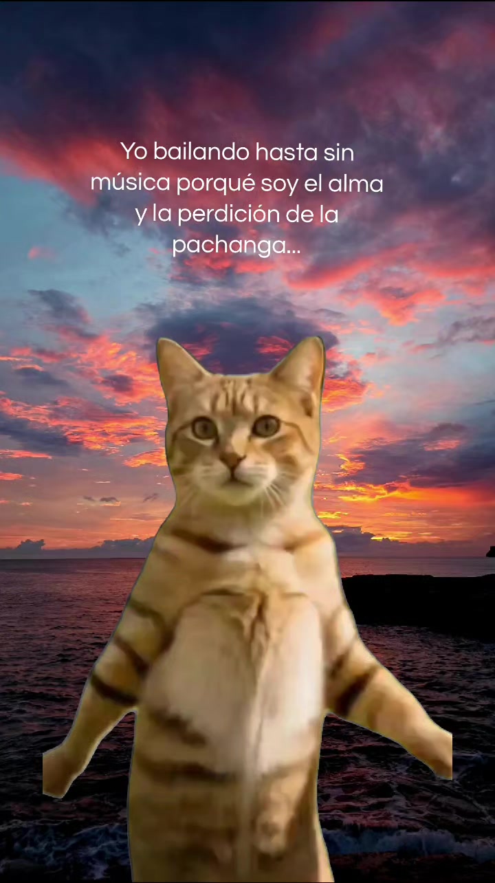 @Lucelia Rodríguez 💛💛💛💛