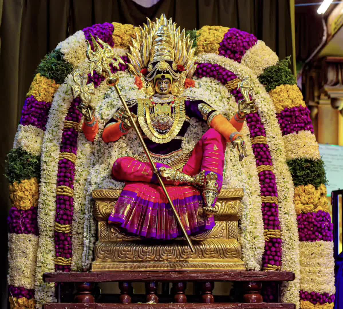 @❣︎ఌ கிஷாலினி பாலகிருஷ்ணன் ఌ❣︎