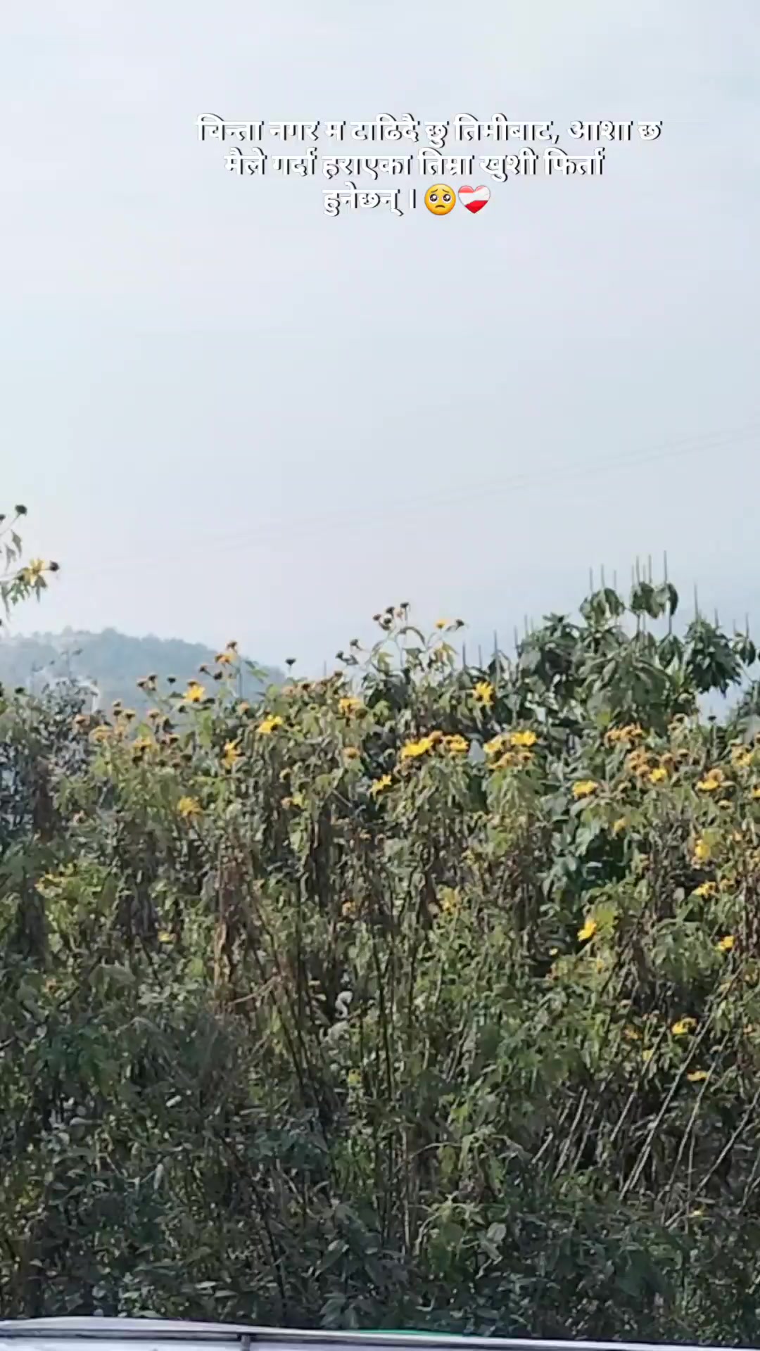 @Mr Yadavツ 🇳🇵