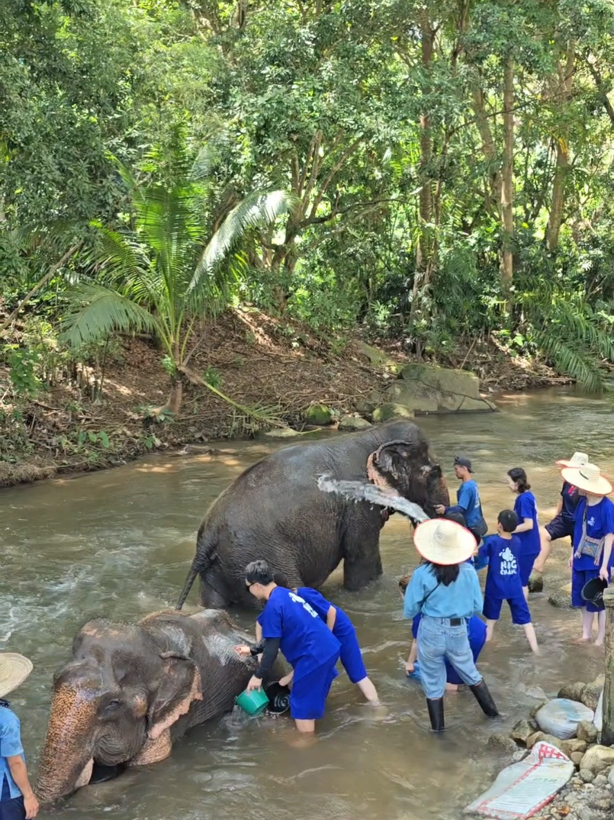 @ควาญแดง พลายภูพิงค์
