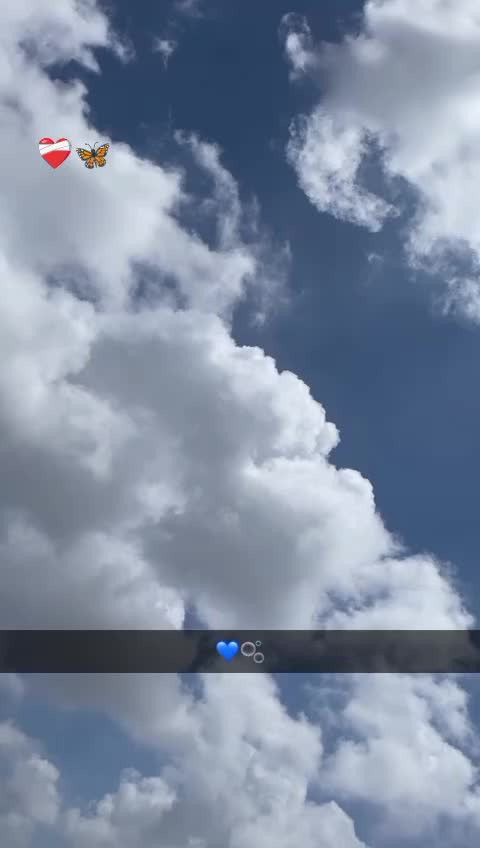 @snapvibes