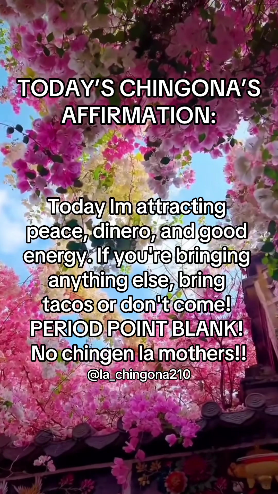 @LA CHINGONA
