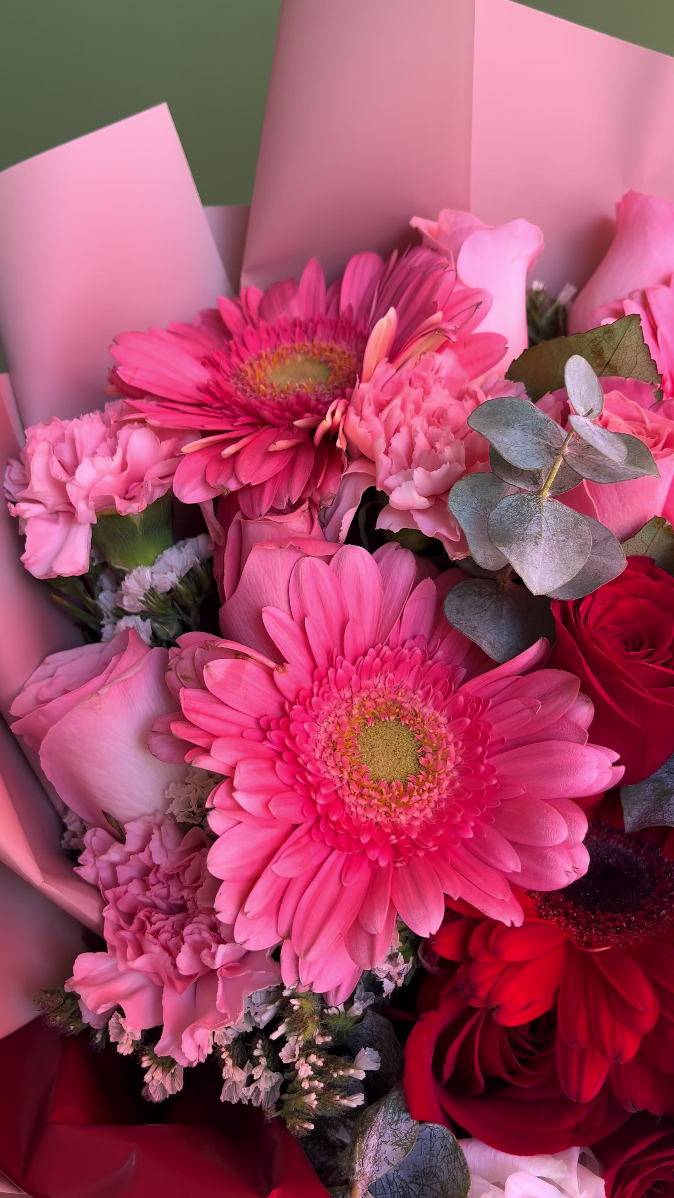 @Gerba Florer&iacute;a💐