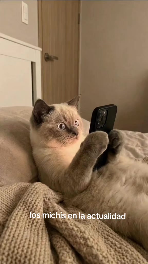 @Mundogycats