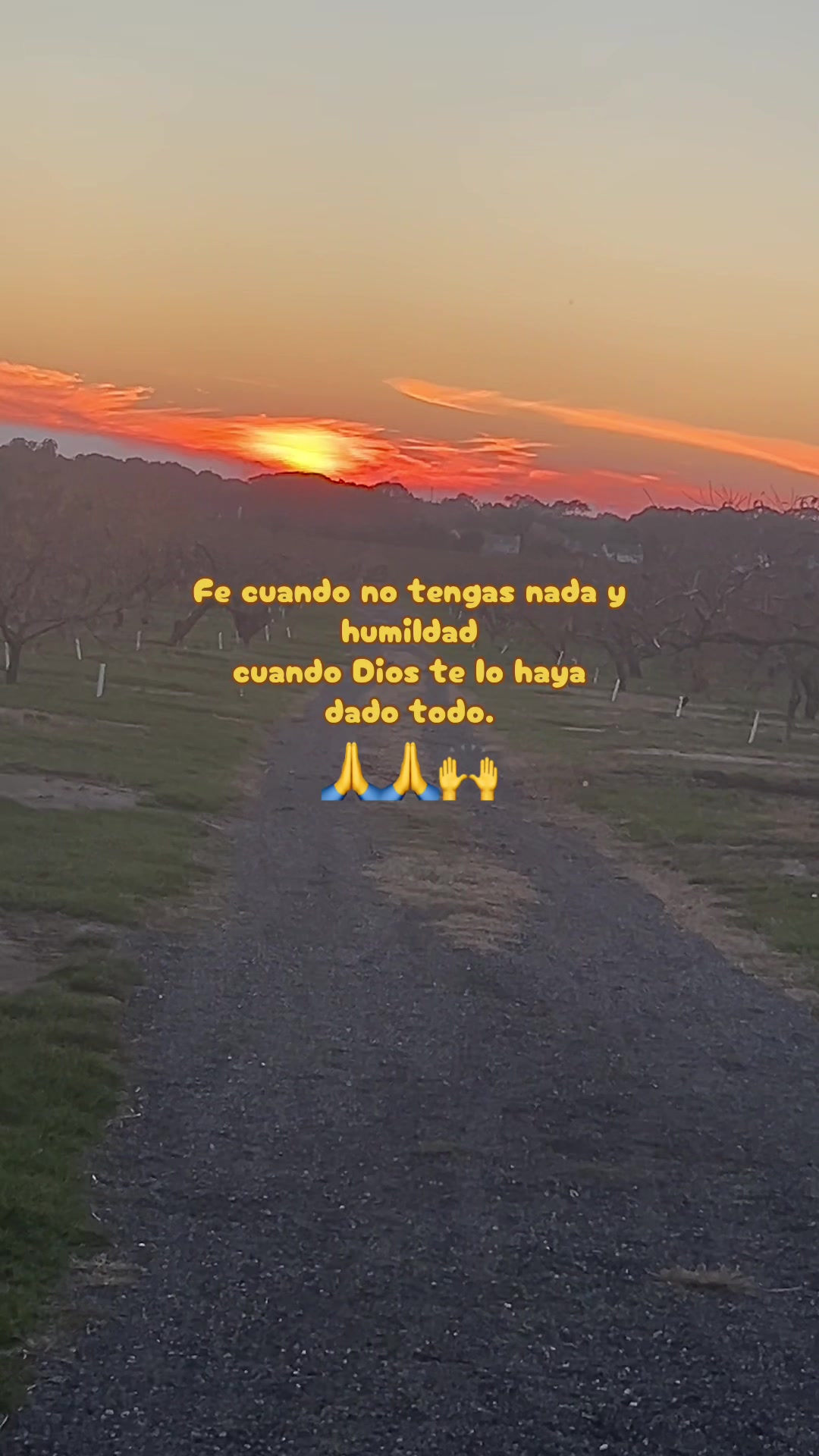 @N:M.C🌼