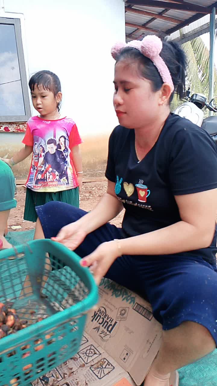 @ipewww