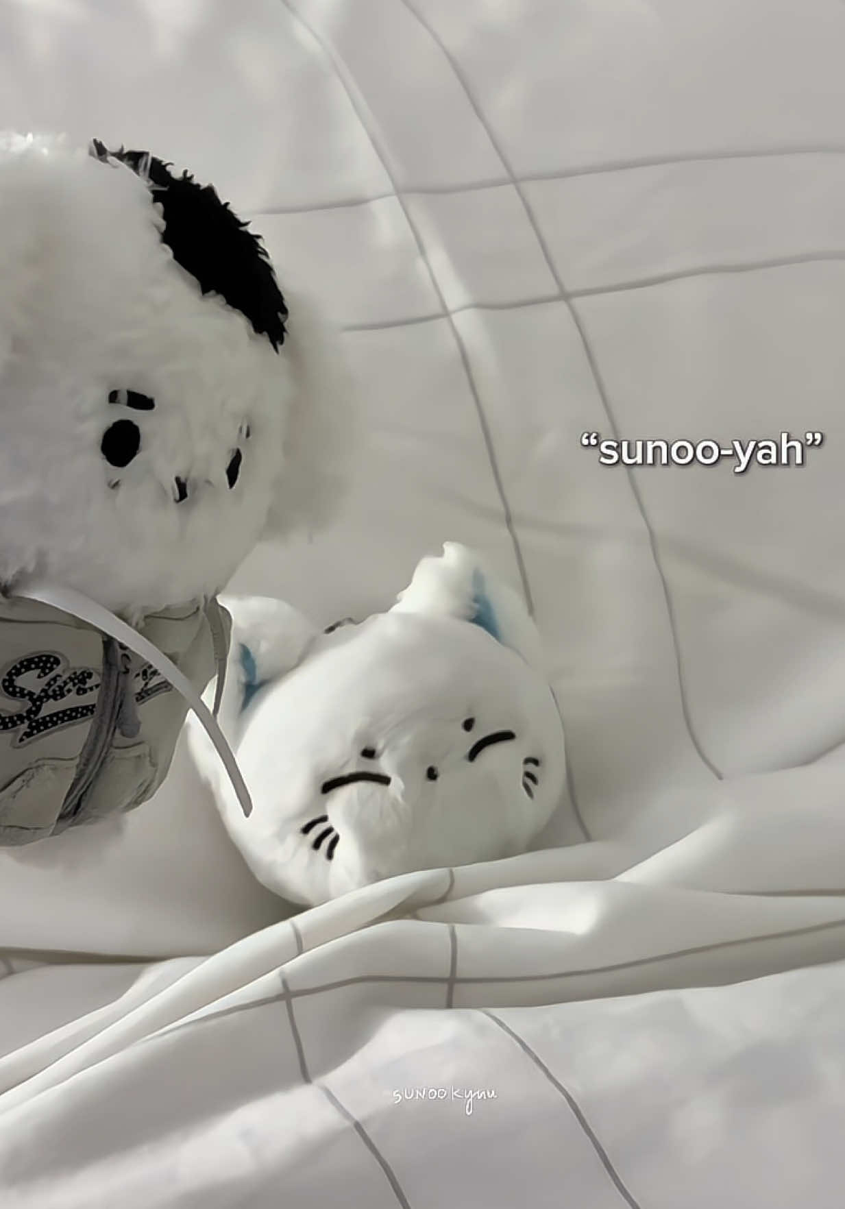 @sunookyuu