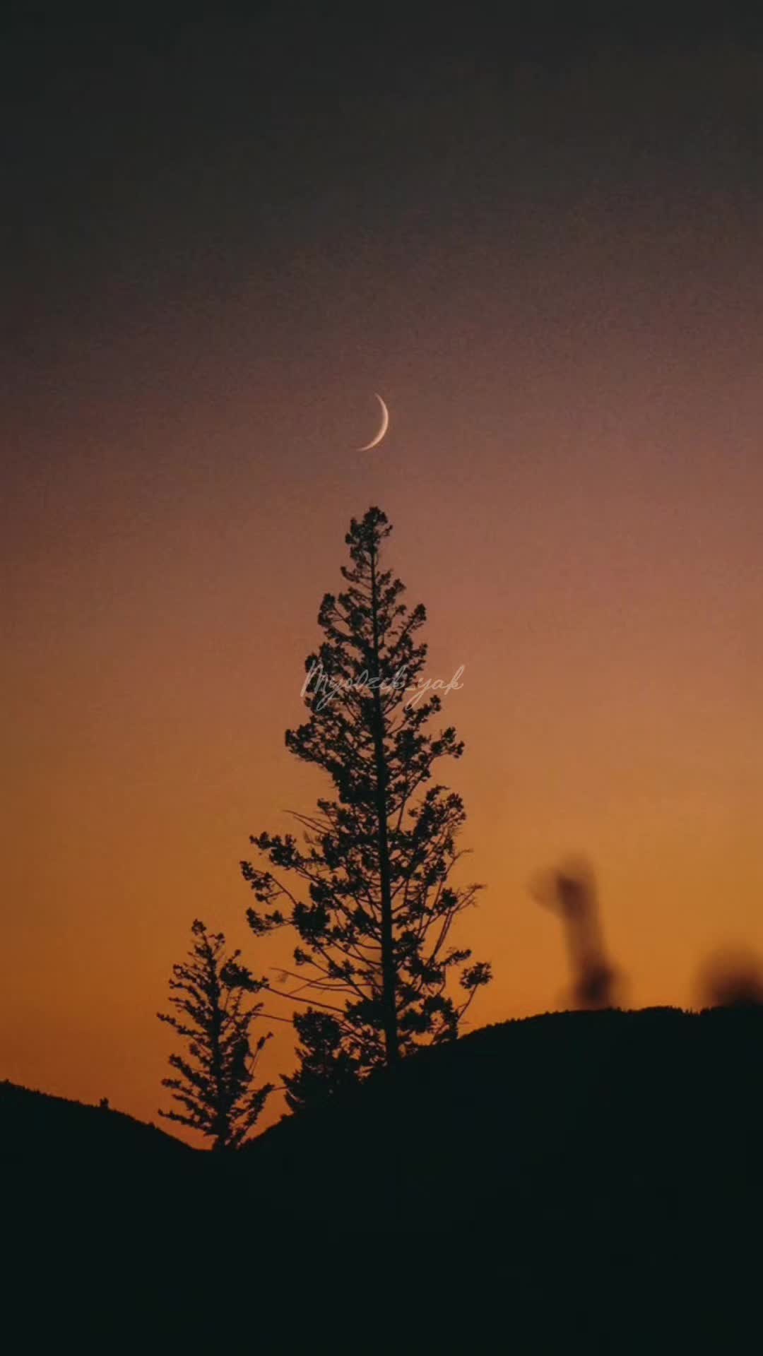 @ꪑꪗꪮ੦ɀỉƙ_ꪗꪖƙ ♪♫♬ 🧬