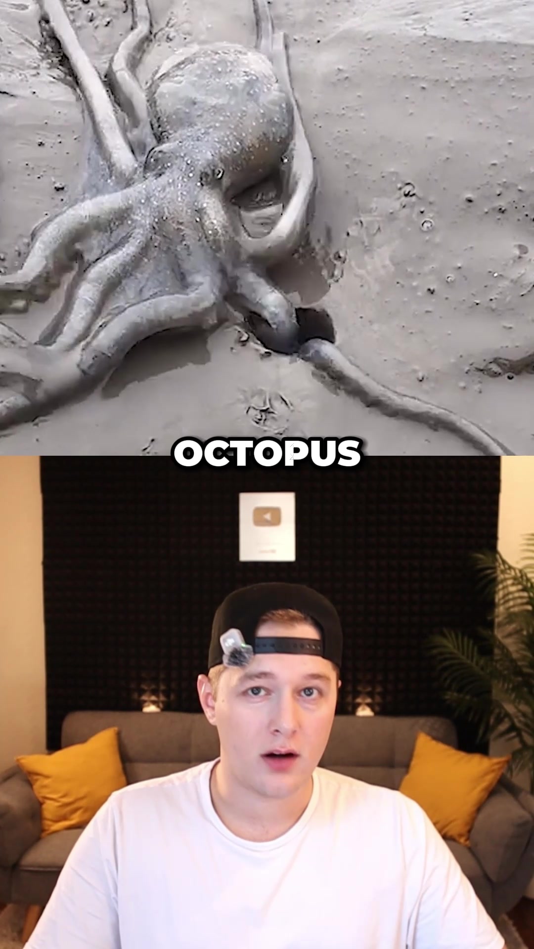 @Koztent