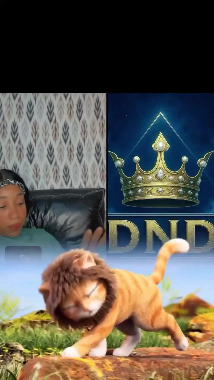 @Kacian 🩵🤍