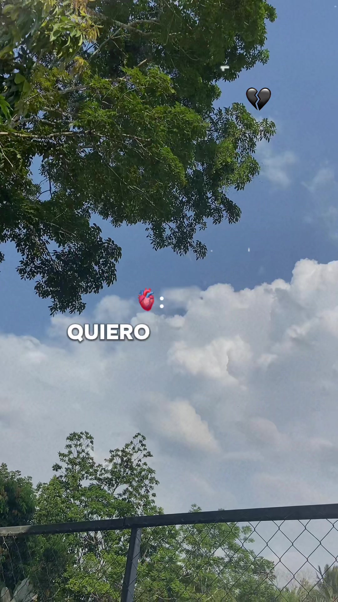 @🤷No disponible 🫤