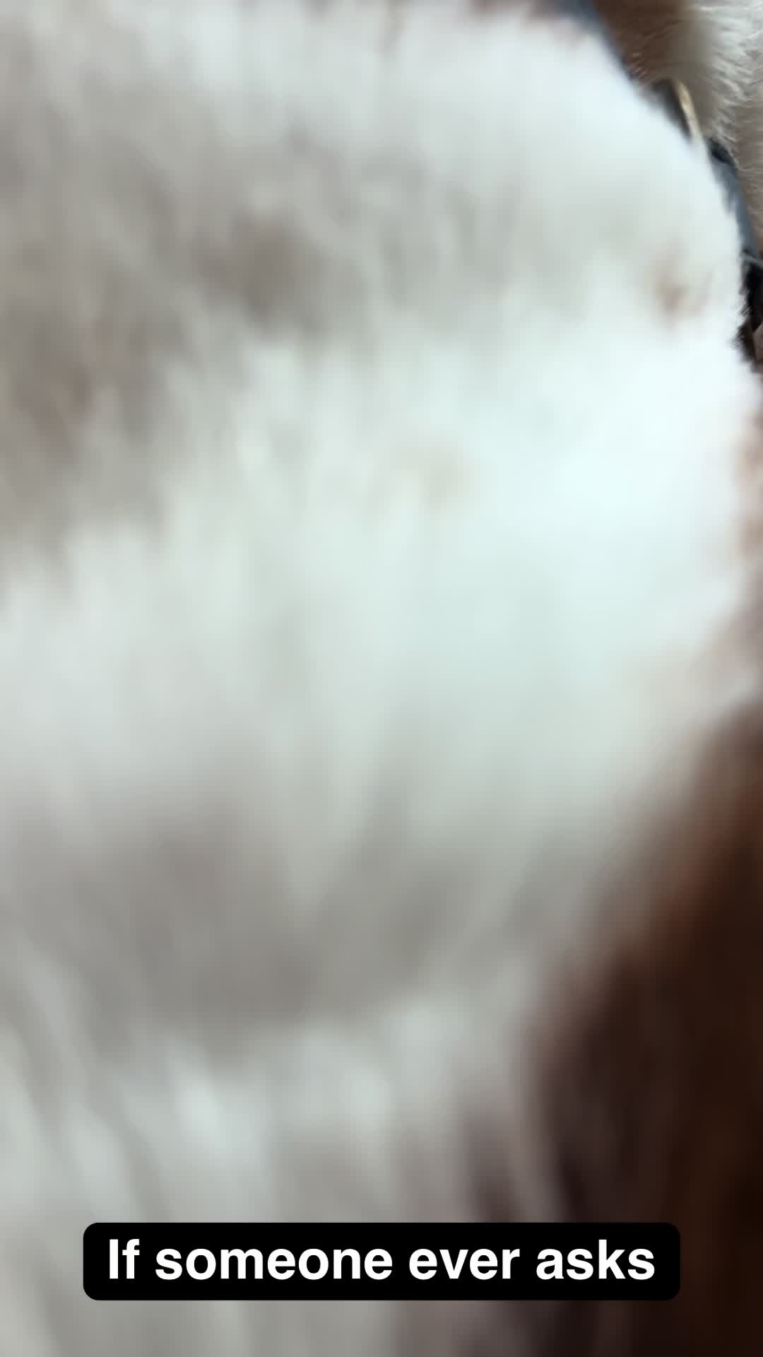 @TikTok4Fun