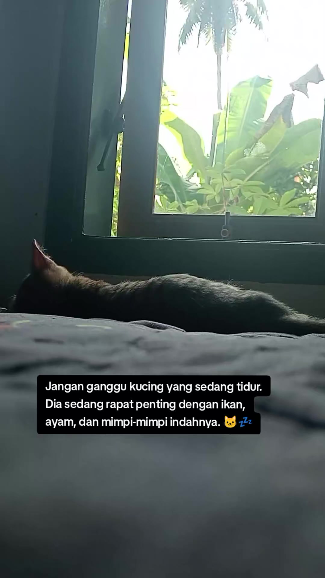 @Rizqi