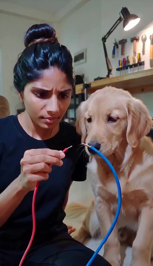 @Nishary007
