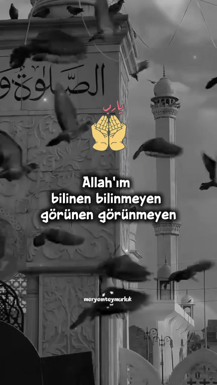 @Meryemteymurluk7