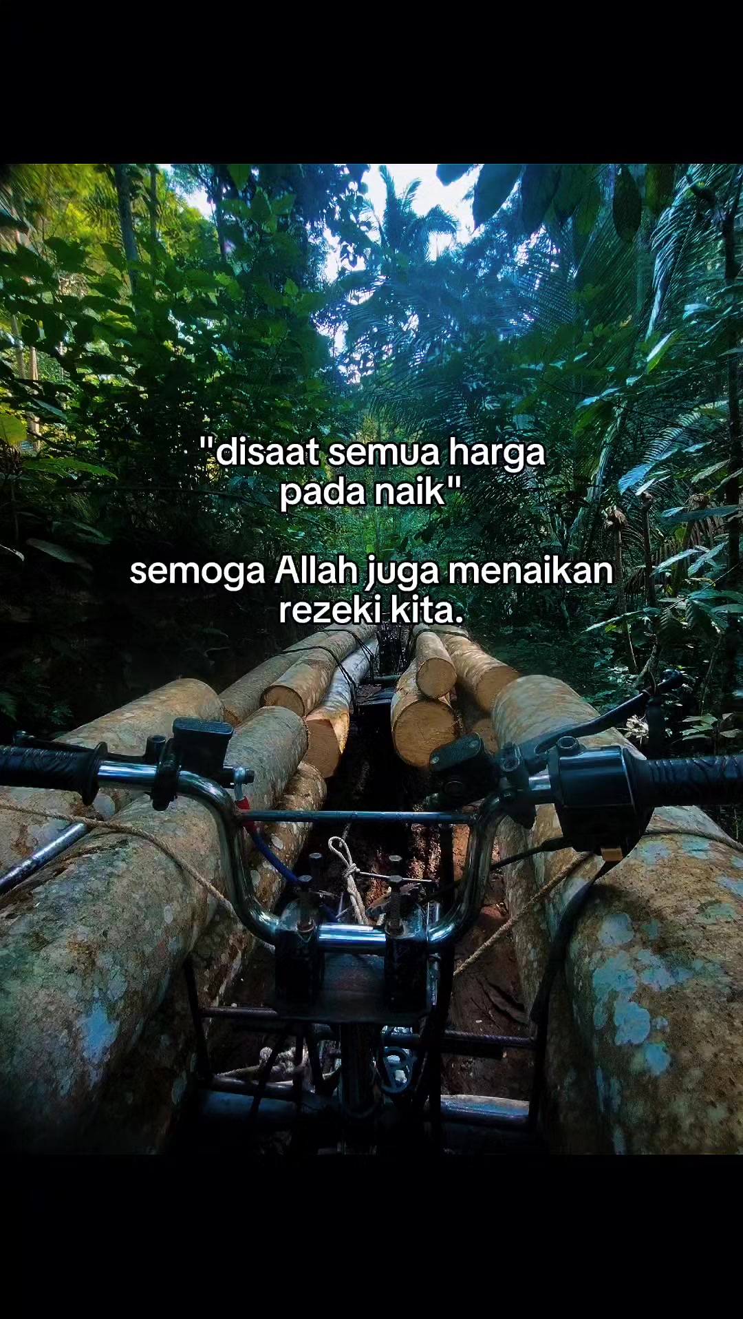 @sobat logging Xpress
