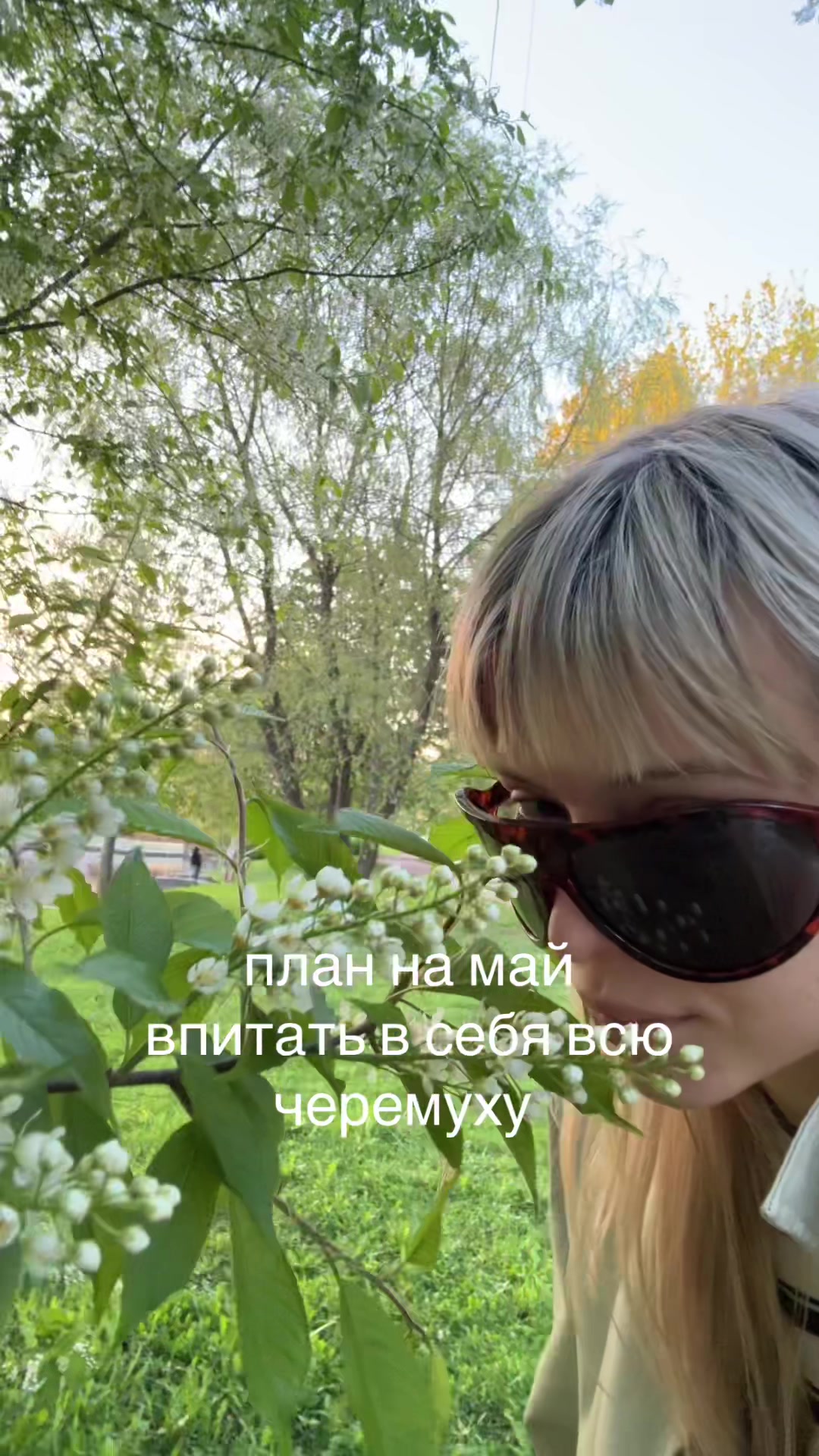 @Kramarevaliza