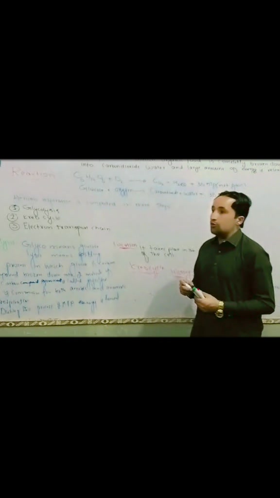 @WAQAR AHMAD ❤️love botany 🌴