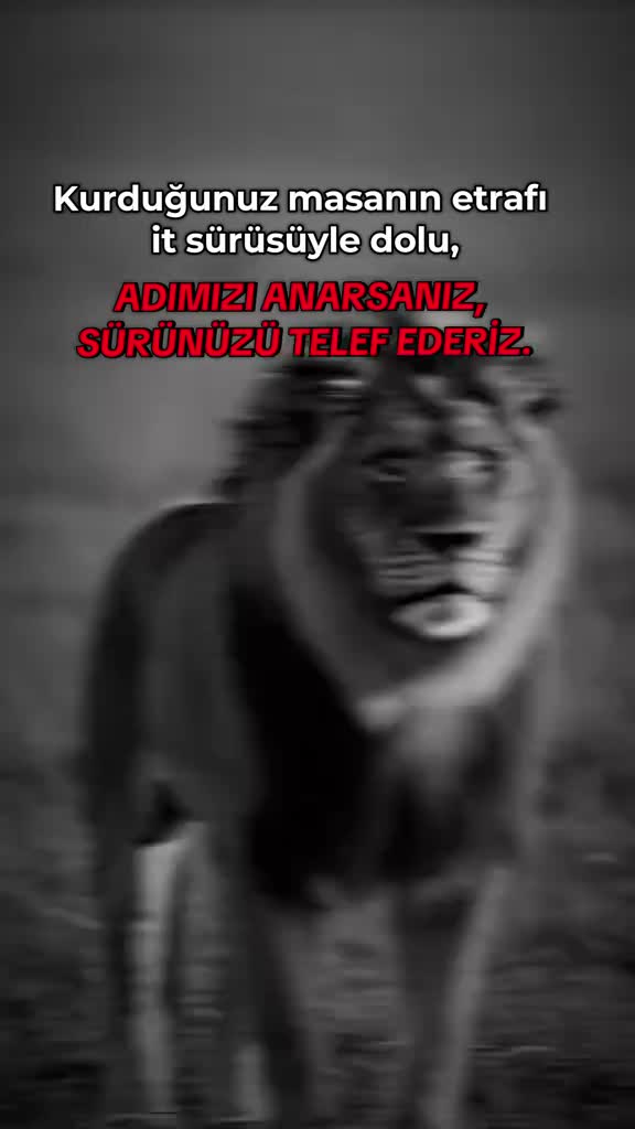 @🔱🦁🅰🆂🅻🅰🅽🦁🔱