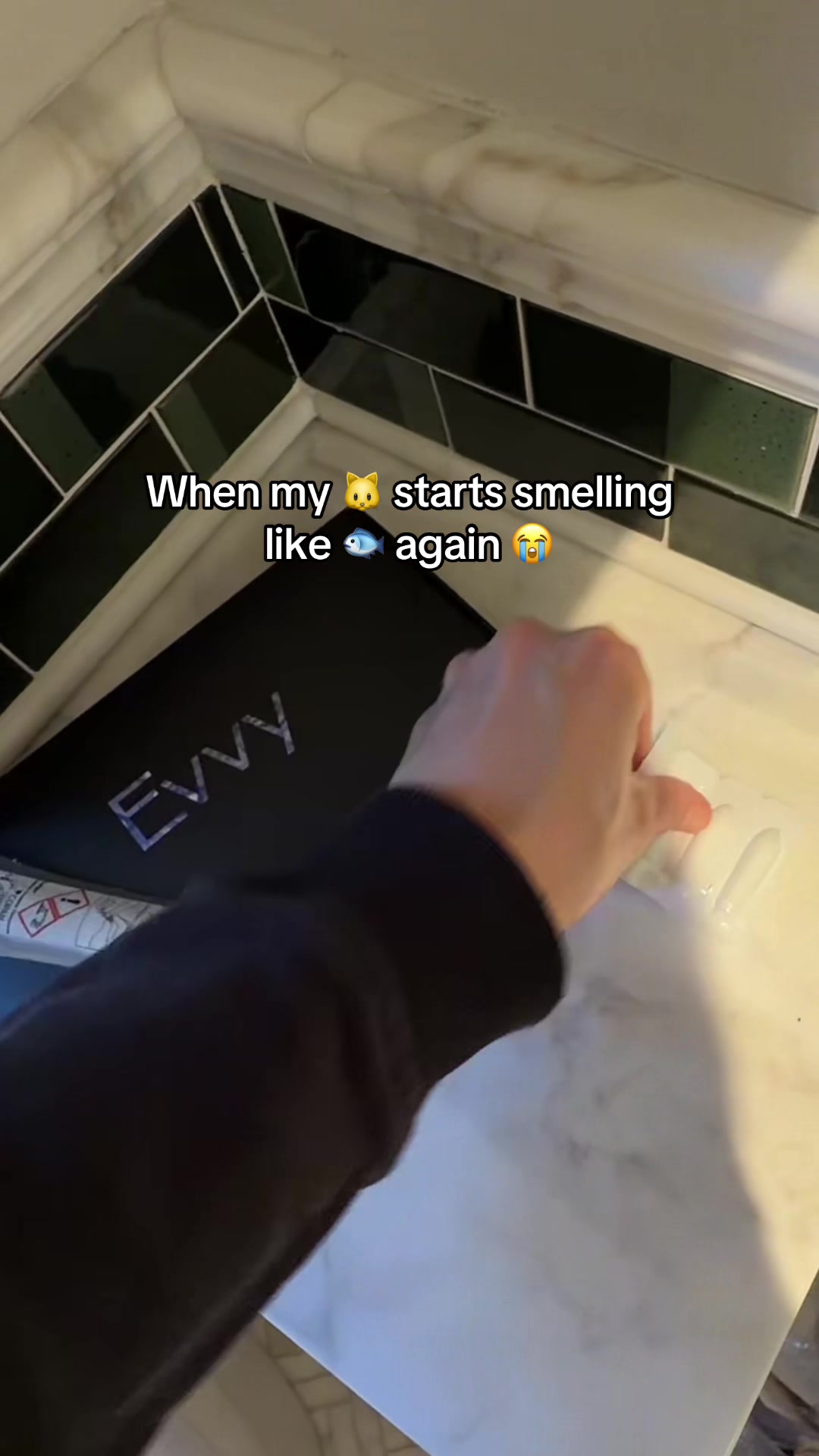@Evvy