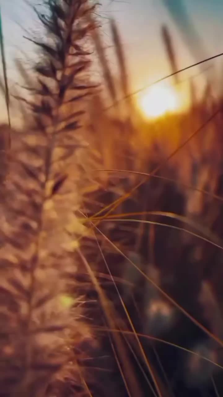 @🦋Ivonnsalasguzman🦋