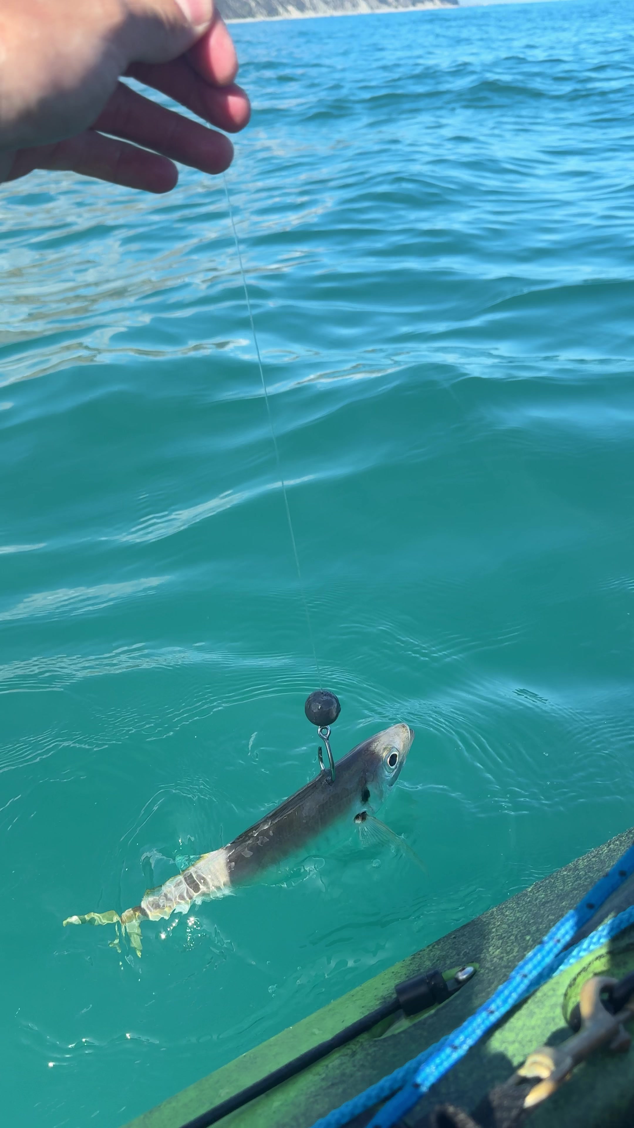 @cthfishing