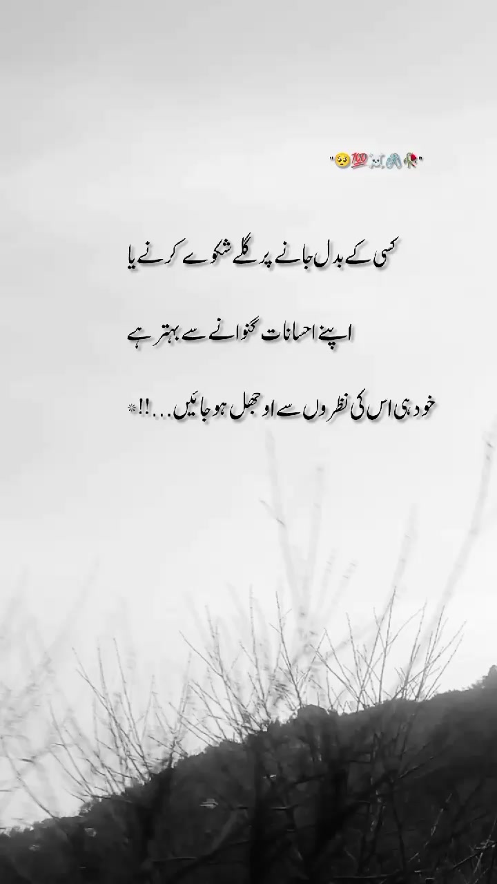 @🦅کشمیری رائٹس 🍁(◕‿-)