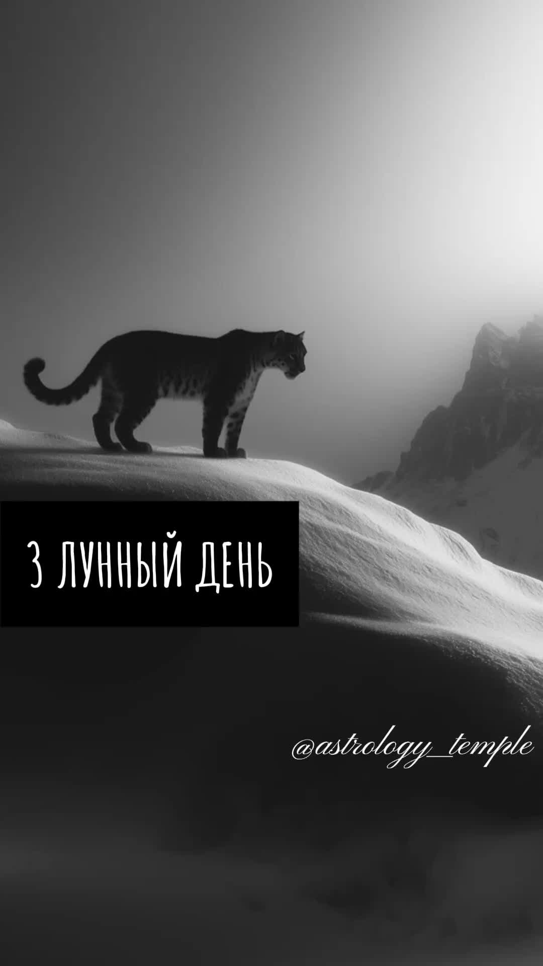 @Константин Воробьев | Астролог