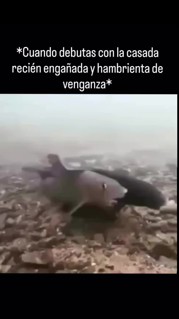 @Jԋ&sigma;ɳყ Oɾҽ
