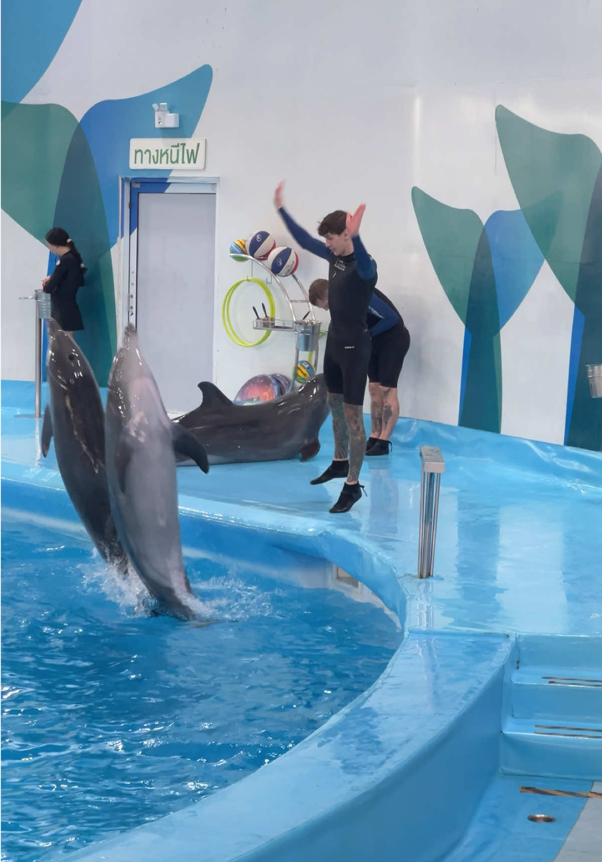 @Pattaya Dolphinarium