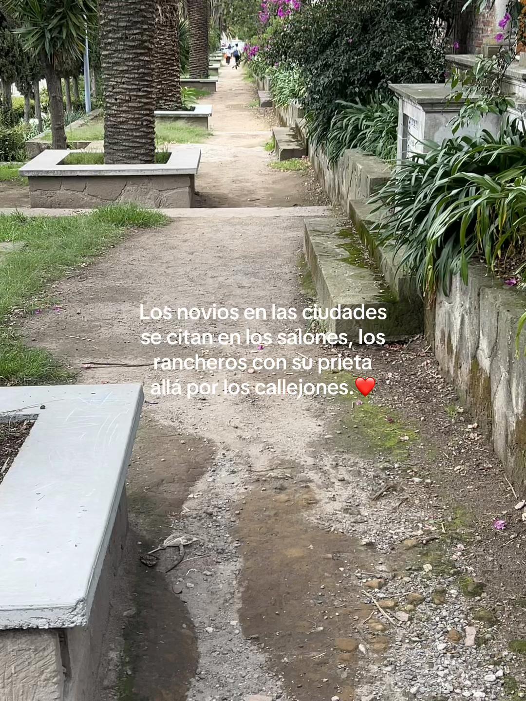 @Carlos_favela7