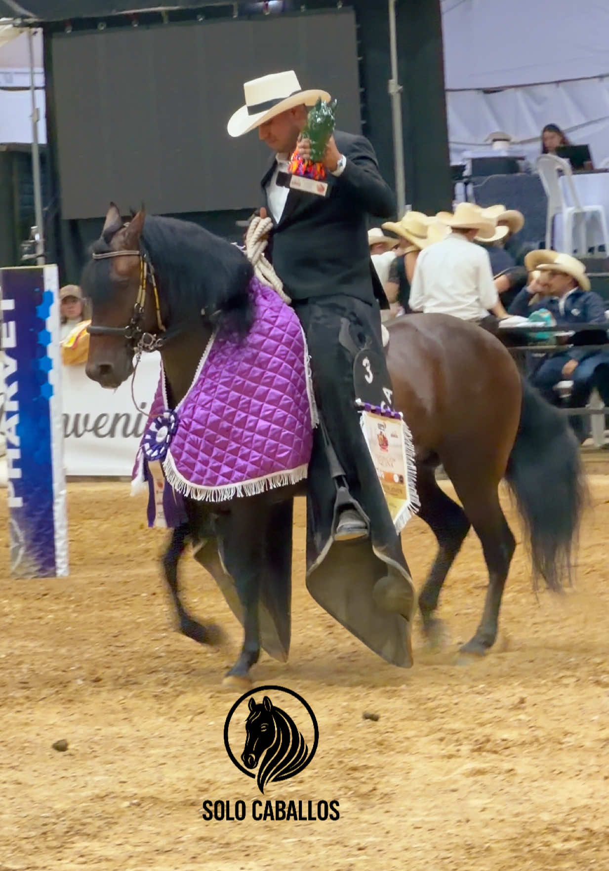 @Solo Caballos