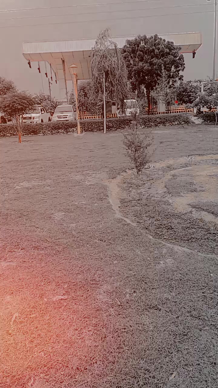 @گادیNNS