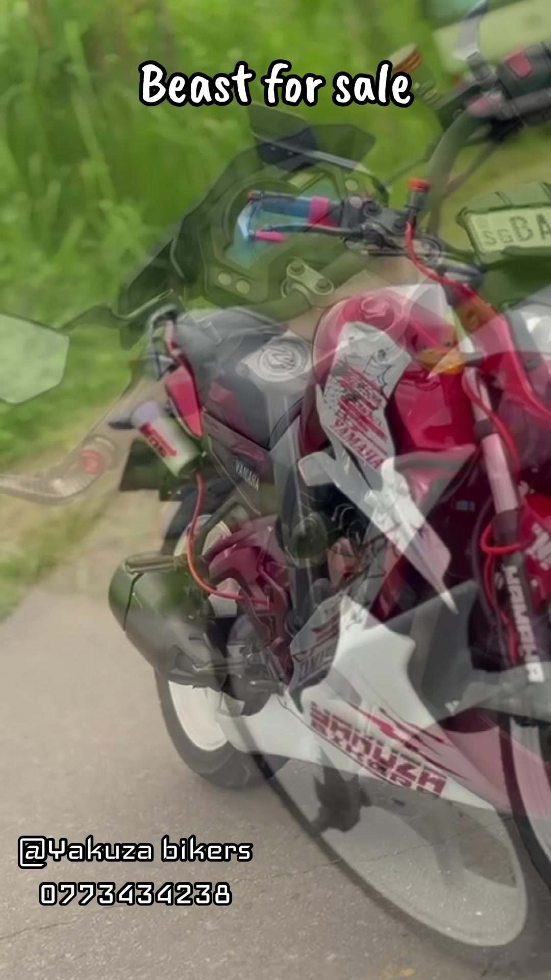 @YAKUZA BIKERS