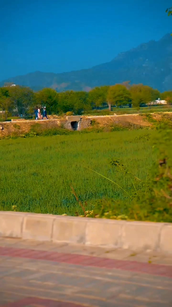@چوہدری ثمر بھٹی