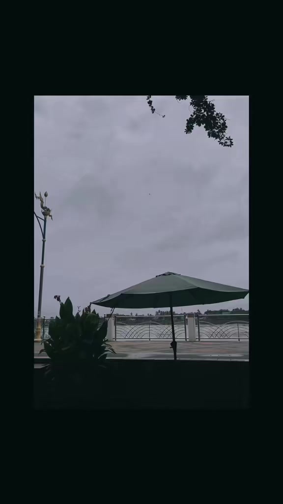 @Noomnipa🩵