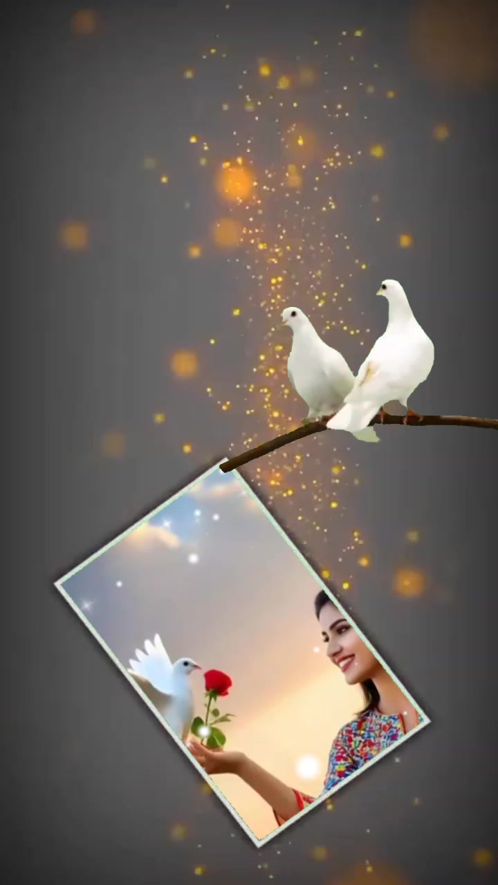 @Arshad Ali445154