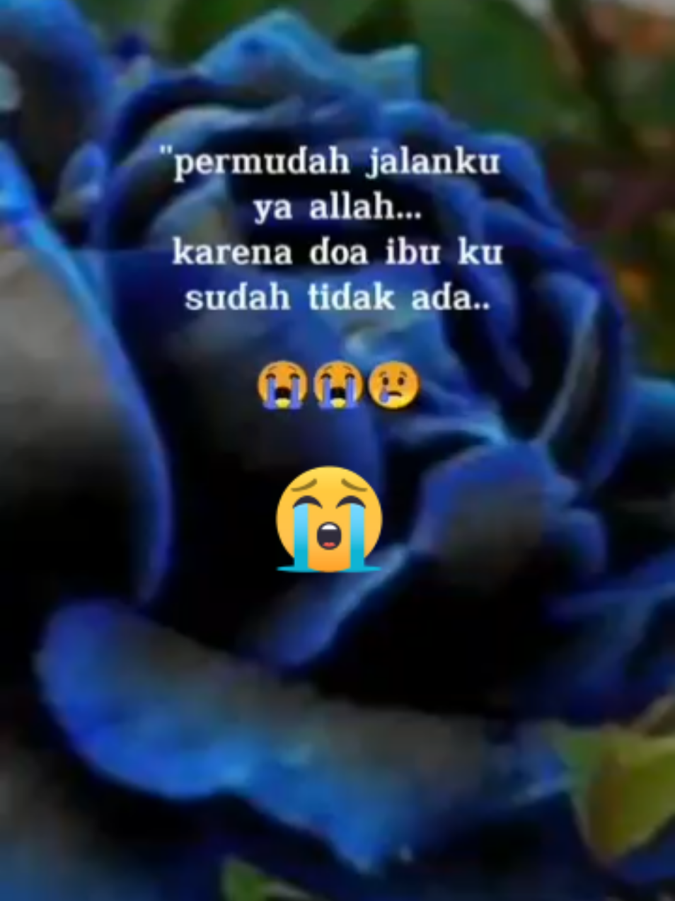 @sartika