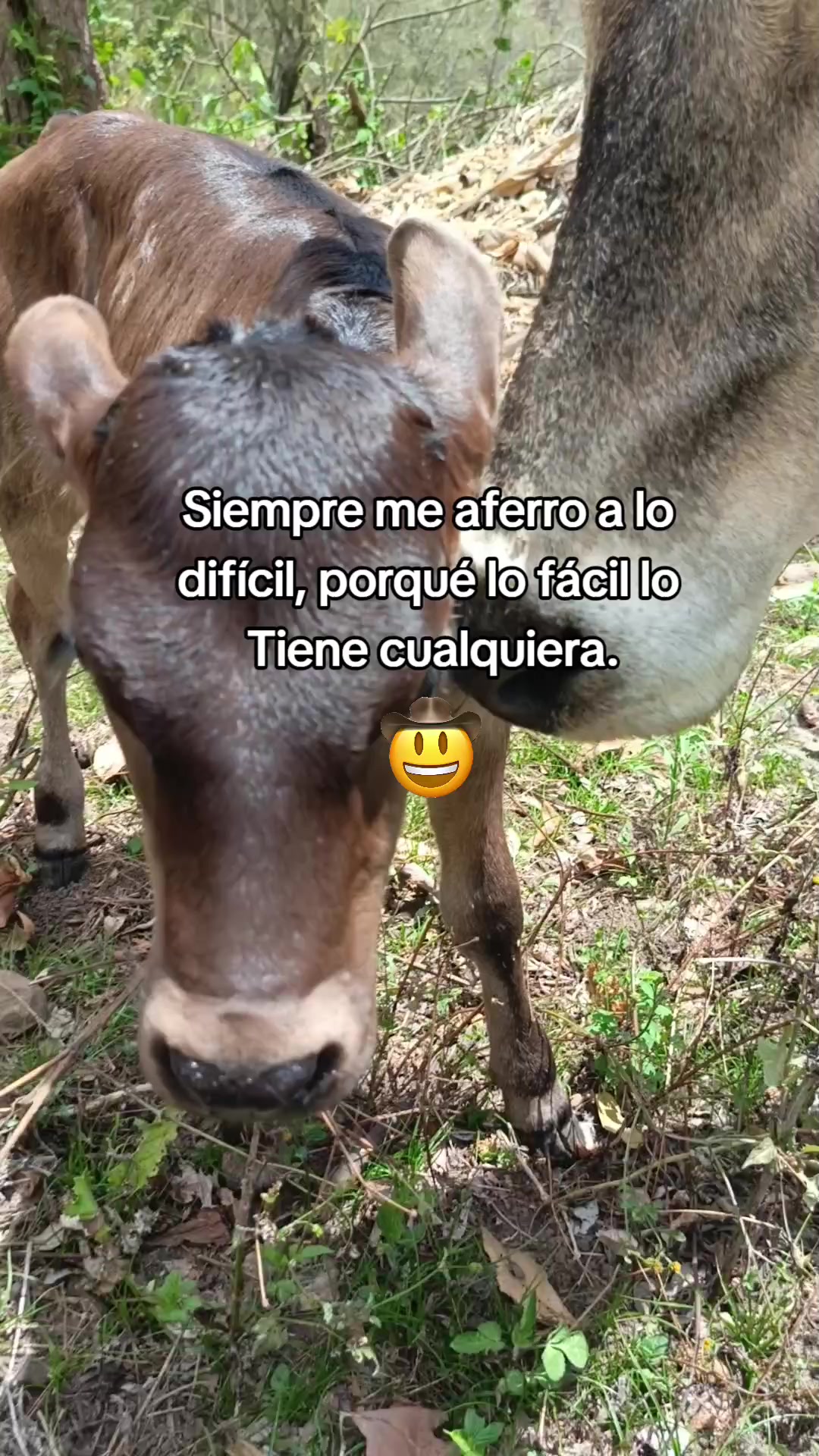 @️Satiel🧢
