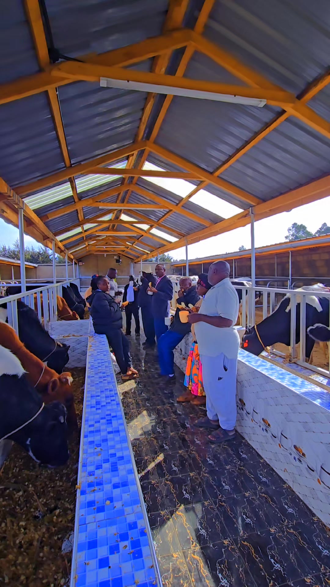 @PAULITODAIRYFARM 🇰🇪🇹🇿🇺🇬